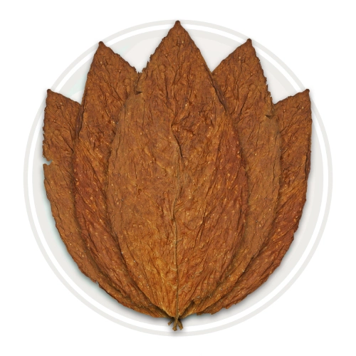 Barley tobacco leaf benefits