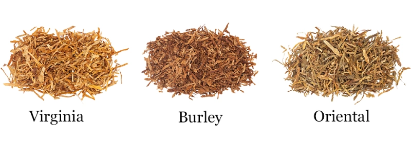 Comparison of Oriental tobacco leaves and Virginia tobacco